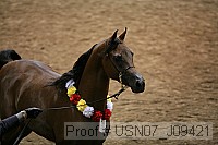 usn07_j09421 proof