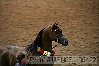 usn07_j09422 proof