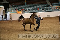 usn07_j01061 proof