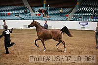 usn07_j01064 proof