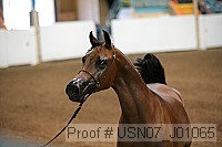 usn07_j01065 proof