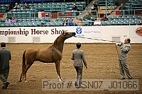 usn07_j01066 proof