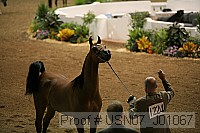usn07_j01067 proof