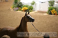 usn07_j01070 proof