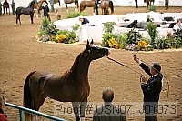usn07_j01073 proof