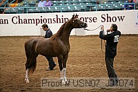 usn07_j01074 proof