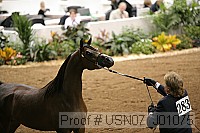 usn07_j01075 proof