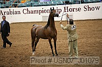 usn07_j01079 proof