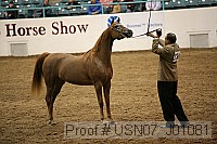 usn07_j01081 proof