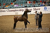 usn07_j01083 proof
