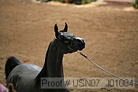 usn07_j01084 proof