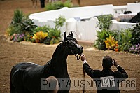 usn07_j01086 proof