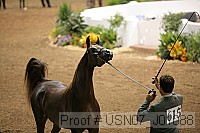 usn07_j01088 proof
