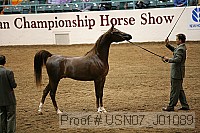 usn07_j01089 proof