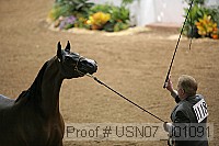 usn07_j01091 proof