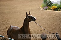 usn07_j01099 proof