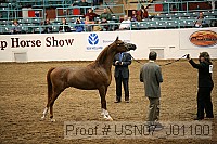 usn07_j01100 proof