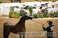 usn07_j01101 proof