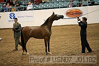 usn07_j01102 proof