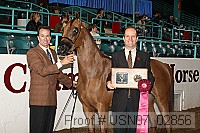 usn07_02856 proof