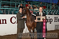 usn07_02858 proof
