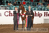 usn07_02866 proof