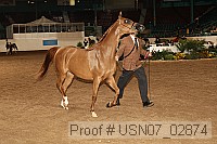 usn07_02874 proof