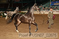 usn07_02875 proof