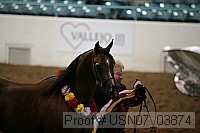 usn07_03874 proof