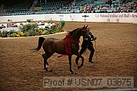 usn07_03875 proof