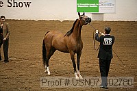 usn07_j02780 proof