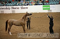 usn07_j02781 proof
