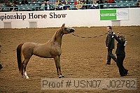 usn07_j02782 proof