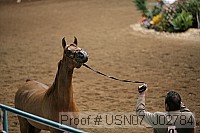 usn07_j02784 proof