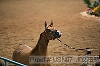 usn07_j02785 proof