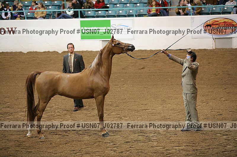 Proof usn07_j02787