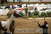 usn07_j02789 proof