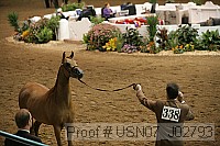 usn07_j02793 proof