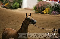 usn07_j02794 proof