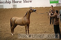 usn07_j02795 proof