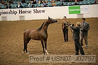 usn07_j02797 proof