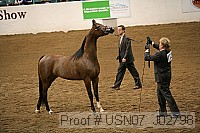 usn07_j02798 proof