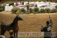 usn07_j02800 proof