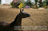 usn07_j02801 proof