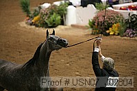 usn07_j02804 proof