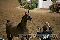 usn07_j02809 proof