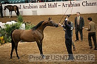 usn07_j02812 proof