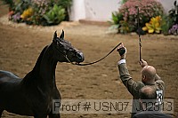 usn07_j02813 proof