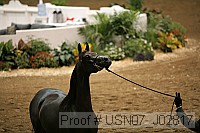 usn07_j02817 proof