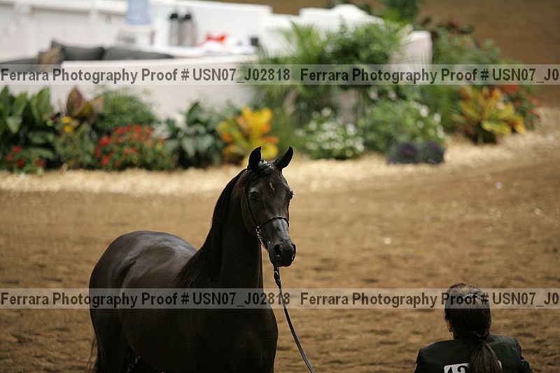 Proof usn07_j02818